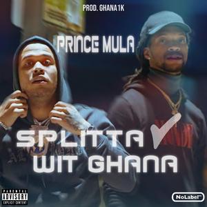 Fishtail (feat. Bankroll Bigg)