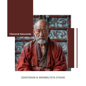 Zenstenar & Månbelysta Stigar