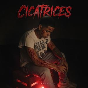Cicatrices