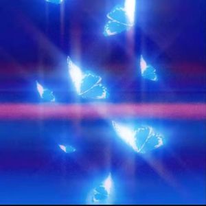 我和我不大一样的朋友