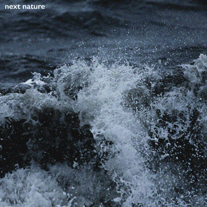 Waves After Midnight