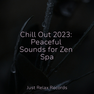 Ocean's Lullaby Escape