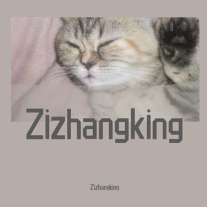 关于郑州的记忆（cover李志）