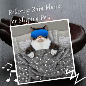 Relaxing Rain Music for Sleeping Pets - 1 Hour