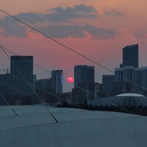 Shadows in the Moonlight