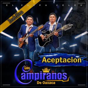 Aceptacion