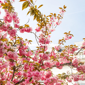 Lively Positive Noise