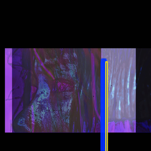 真的爱像磁铁一样