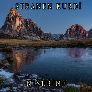 Nısebine