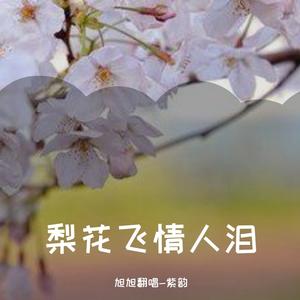 梨花飞情人泪