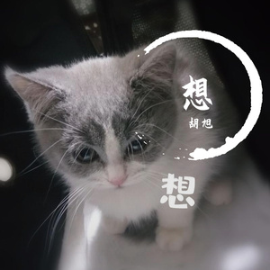 想