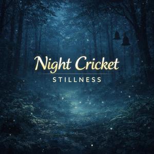 Night Cricket Stillness B (No Copyright Music)