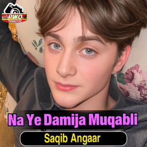 Na Ye Damija Muqabli