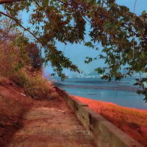 致昨夜来访我梦中的先生