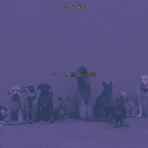 诗意的孤独的狗节奏