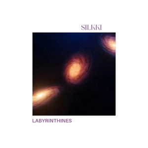 Silkki