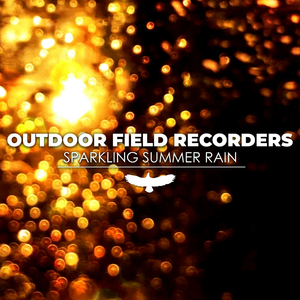 Sparkling Summer Rain