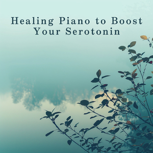 Soothing Sunset Serenity