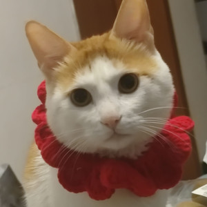 没名字 (Live)_❀湿音