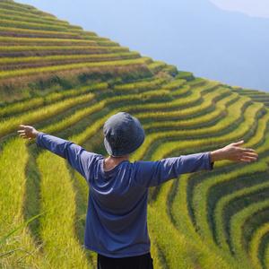 周笔畅-大家一起喜羊羊（舒淇云 remix）