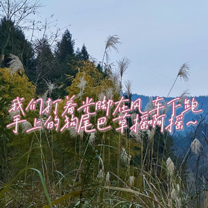 我们打着光脚在风车下跑，手上的狗尾巴草摇啊摇