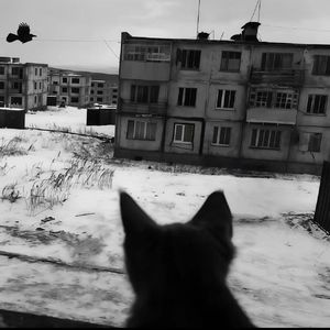 [Drill]更多-Asen x Gali Type Beat