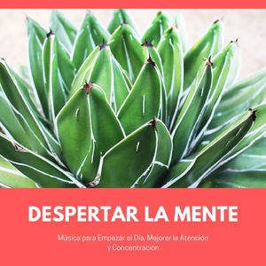 Sé Tu Mismo, Sé Único, Sé Libre, Sé Sincero