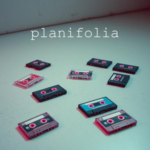planifolia