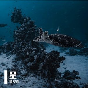 春野来信_001222_track1_001222