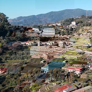 2019.09.21 cabbagetown glen