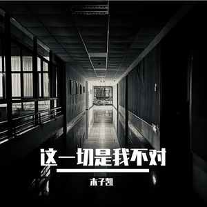 这一切是我不对