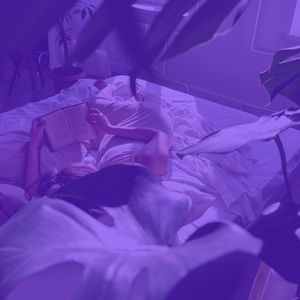 抚慰的图书回忆