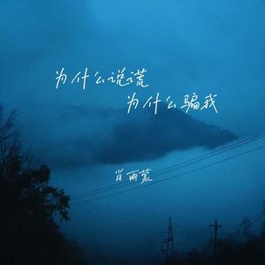 为什么说谎为什么骗我 (DJ彭锐版)