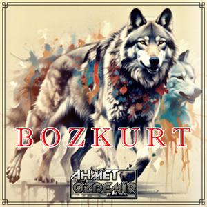 BOZKURT (EDM)