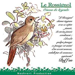 Rossignol - hypolaïs