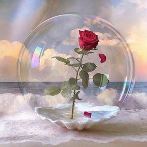 轻轻地告诉你（翻自 杨钰莹）