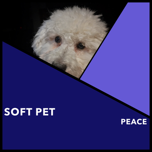 Slobbery Kisses Music