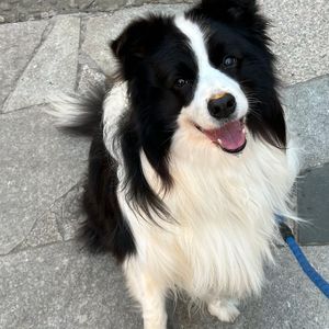 skr的一首shi（prod by 亦淳）