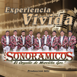 Experiencia Vivida