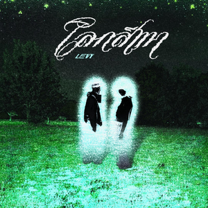 โลกสีเทา