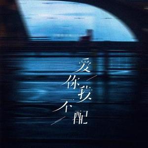 爱你我不配 (Cover en)