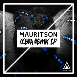 Cobra (Roomstar Remix)