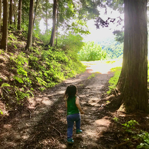 思いのままに歩いて行こう