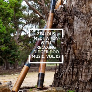 Didgeridoo Guided Meditation (Tribal Percussion Analog Drums) (Original Mix)