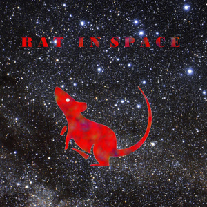 Rat in Space