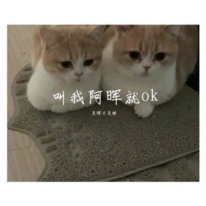 233's（翻自 YNW Melly）