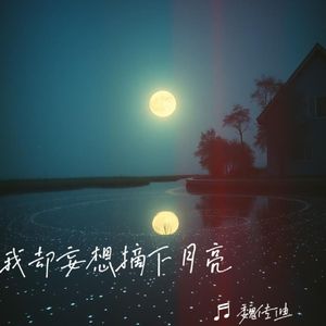 我却妄想摘下月亮