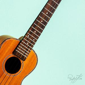 Ukulele Fun