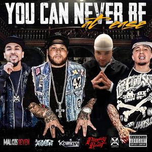 YOU CAN NEVER BE at ease (feat. Kamikazi, Liquid Assassin & Playboy The Beast)