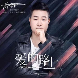 爱的路上 (DJ版)